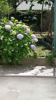 Apartment Capri Myhouse 3 Anacapri (Isola di Capri)
