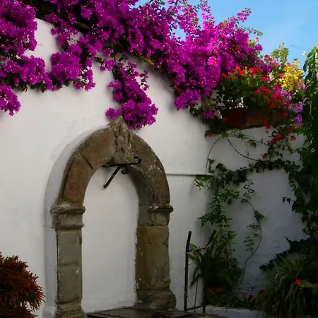 Capri Myhouse 3 Anacapri (Isola di Capri)